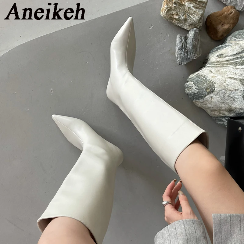 Women'S Fashion Knee High Boots - Aneikeh 2026 Fashion Sexy Pointed Low