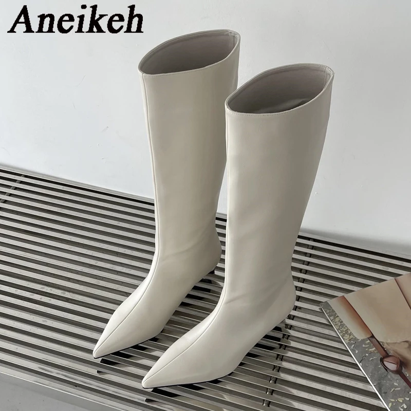 Aneikeh 2026 Fashion Sexy Poin - огляд і ціна Women'S Fashion Knee High Boots